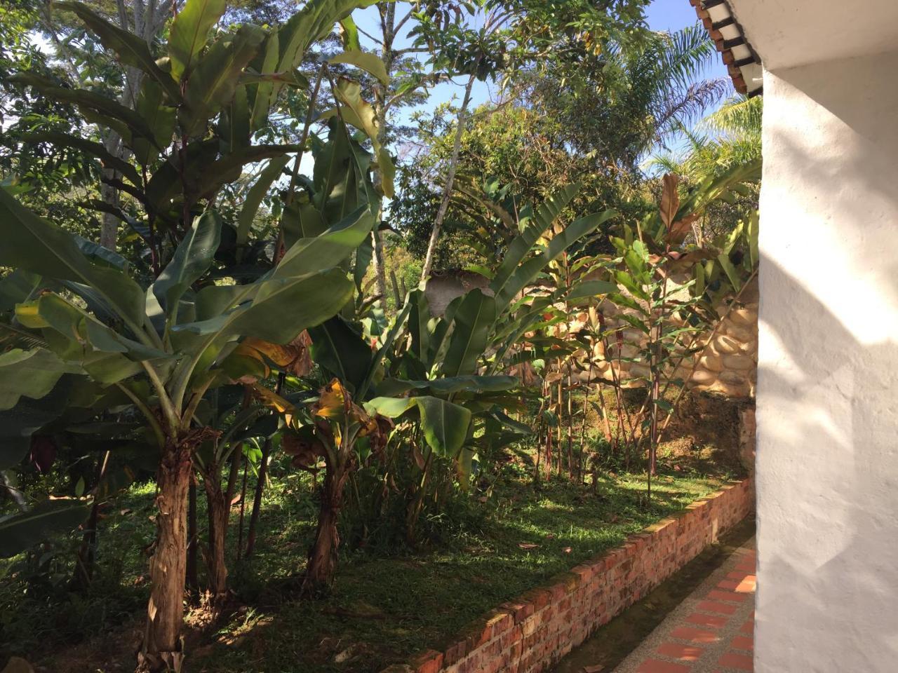 Hotel Casona Las Juanas San Jose de Pare Ngoại thất bức ảnh