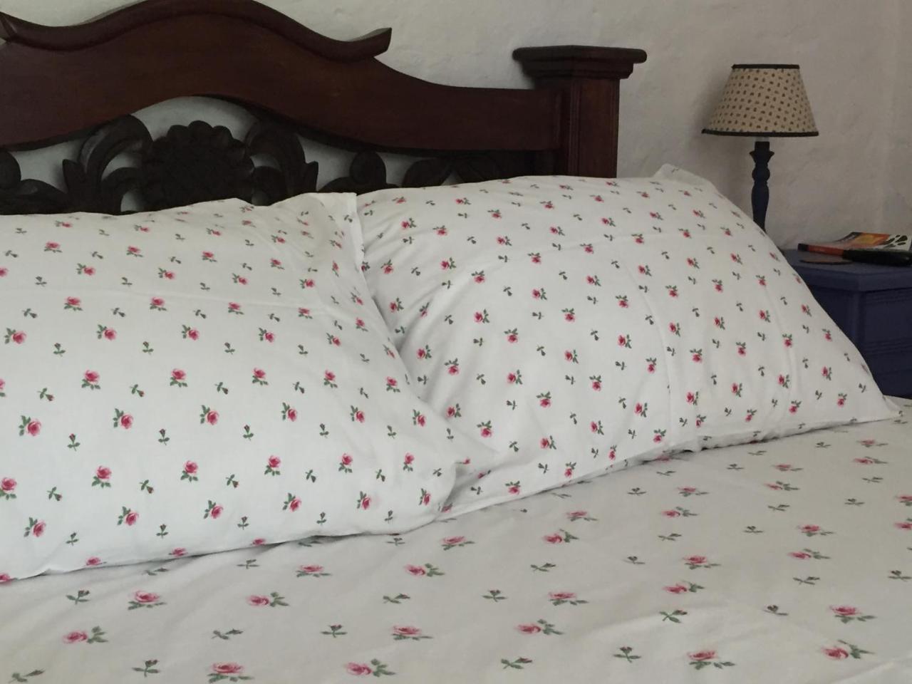 Hotel Casona Las Juanas San Jose de Pare Ngoại thất bức ảnh