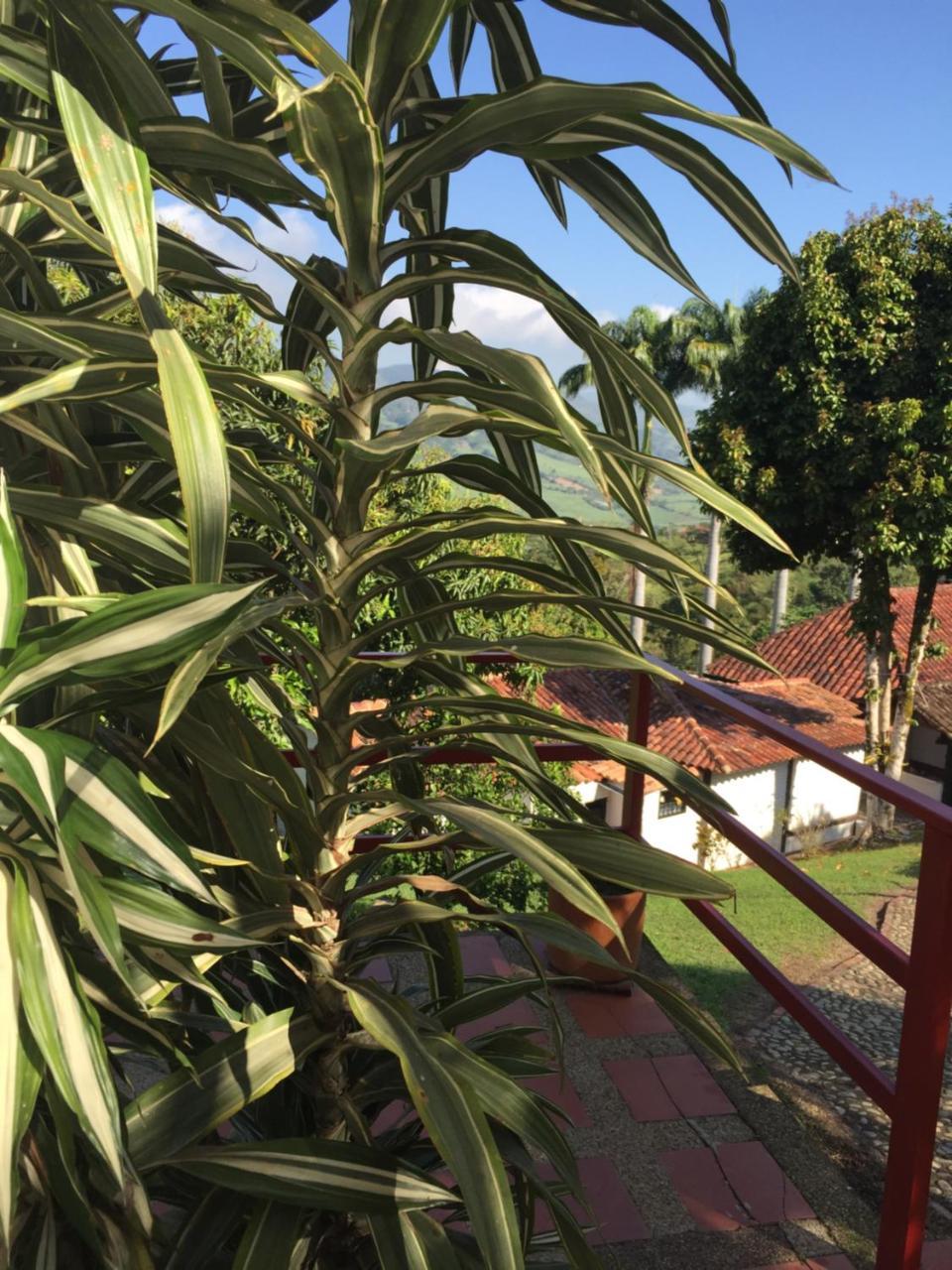 Hotel Casona Las Juanas San Jose de Pare Ngoại thất bức ảnh